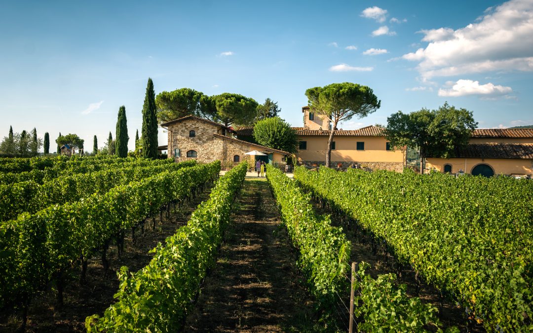 TOP ITALIAN SOMMELIER TIPS