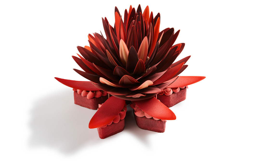 PIERRE MARCOLINI LA HAUTE CHOCOLATERIE