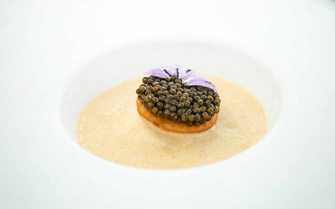 ALAIN  DUCASSE  LES OMBRES